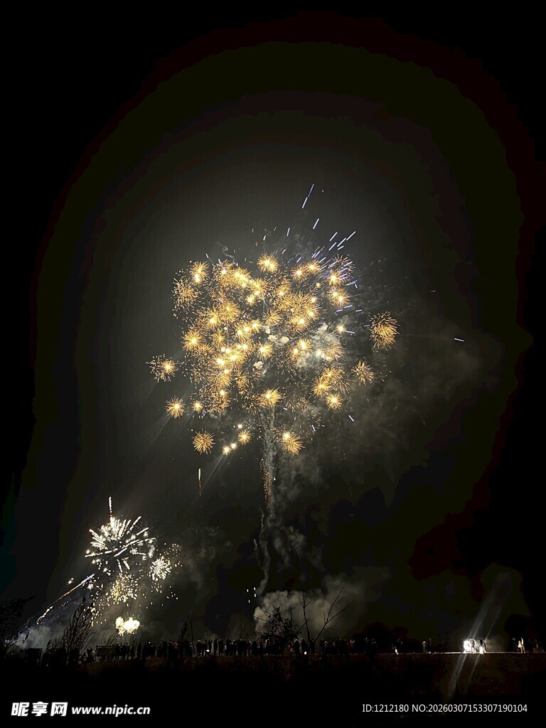 夜空中绚烂绽放的烟花