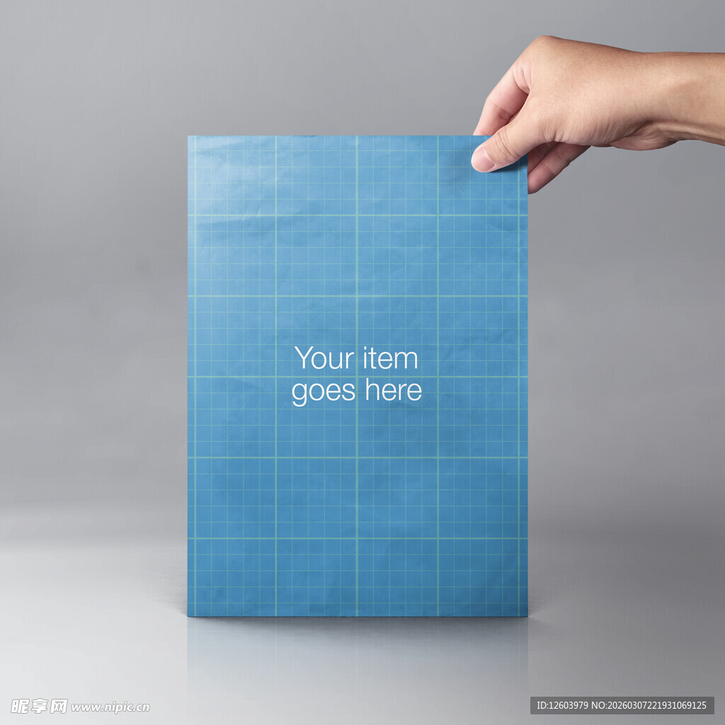 高端样机VI智能样机贴图