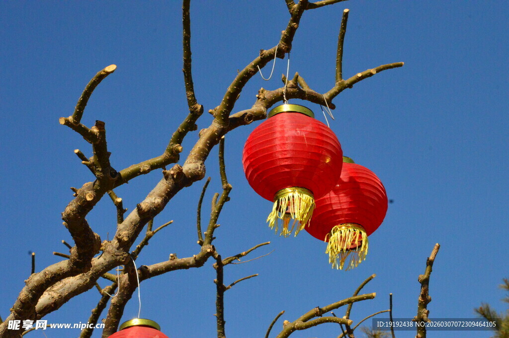 红灯笼 