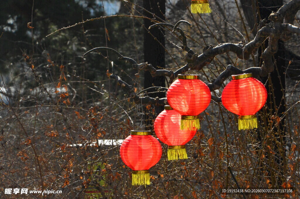 红灯笼 