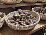 木篮中的新鲜香菇干货