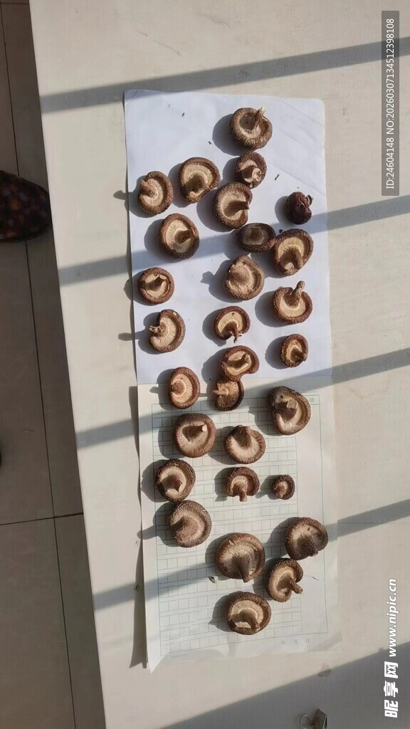 排列整齐的圆形小物件