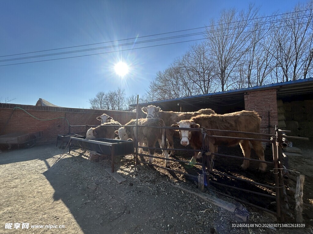 乡村旧景中的老式农用器械