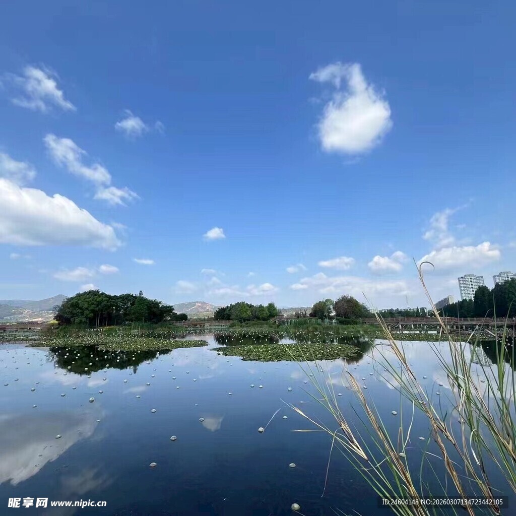 宁静湖畔风光