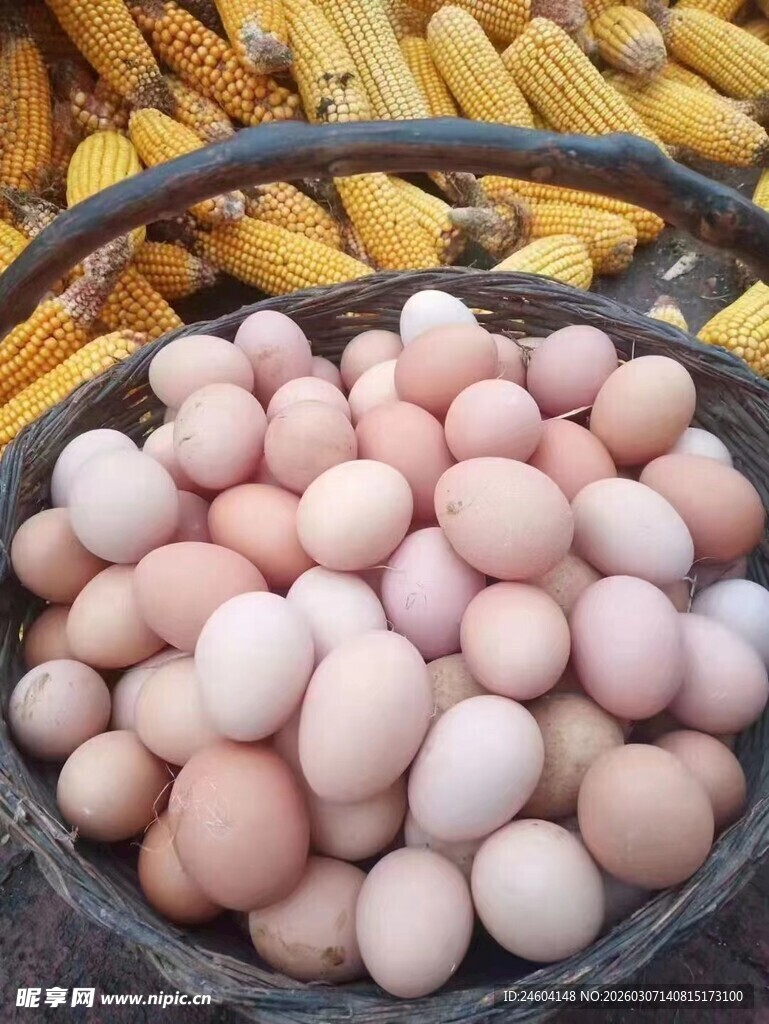 篮子里的新鲜农家土鸡蛋