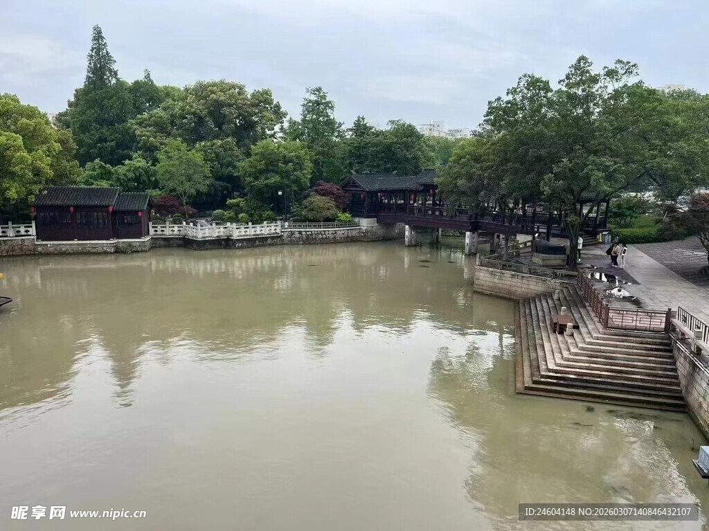 江南水乡静谧池塘景色