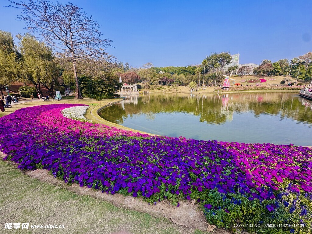 湖畔绚烂花海美景