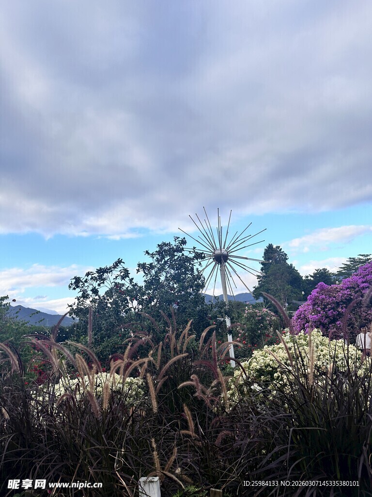 野外多彩植物景观