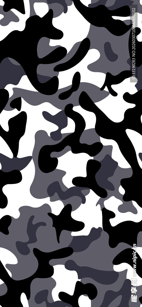 黑白迷彩图案纹理