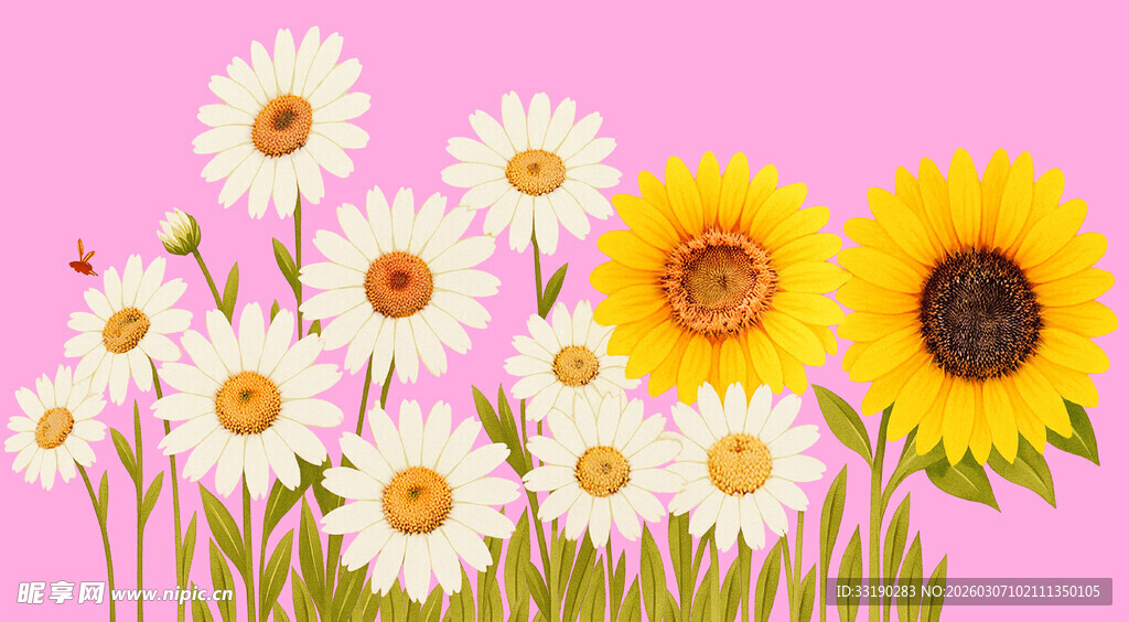 粉色背景中的美丽雏菊花束