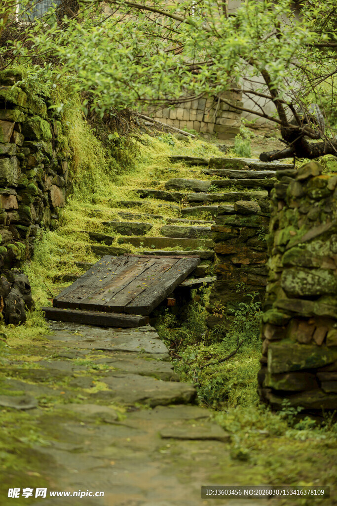 青苔覆盖的林间古朴石阶