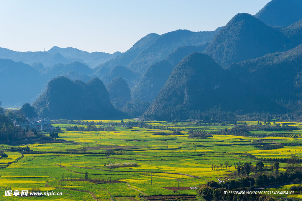 田园山色间的金黄美景