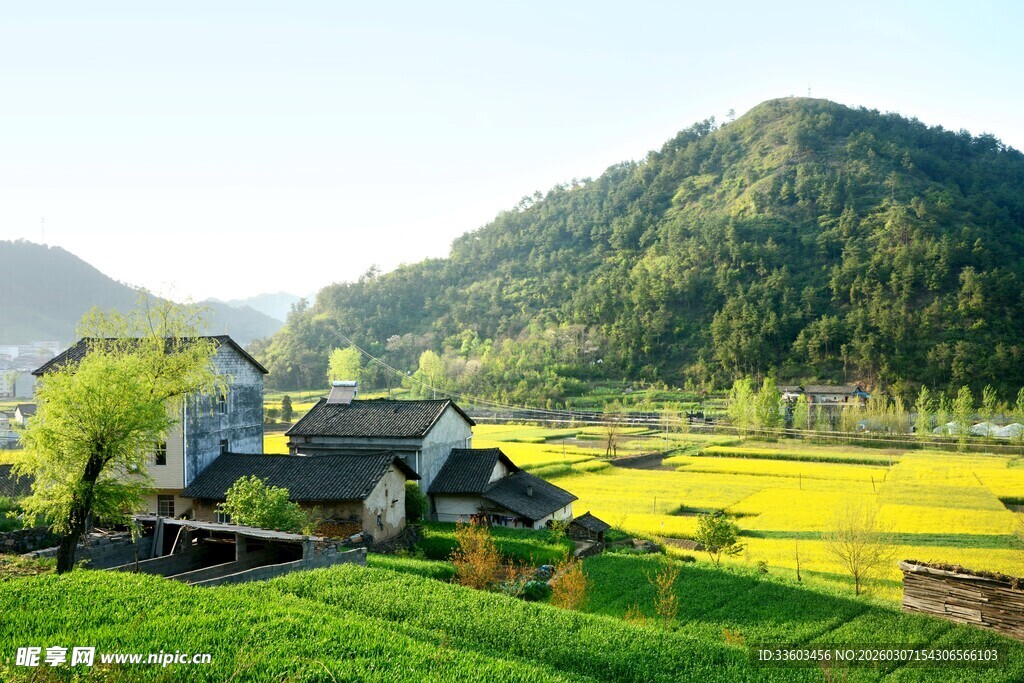 田园山村美景如画