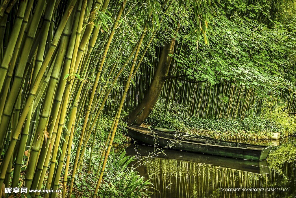 竹林中的静谧小船