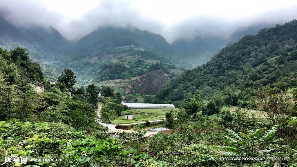 山间村落隐于云雾绿意中