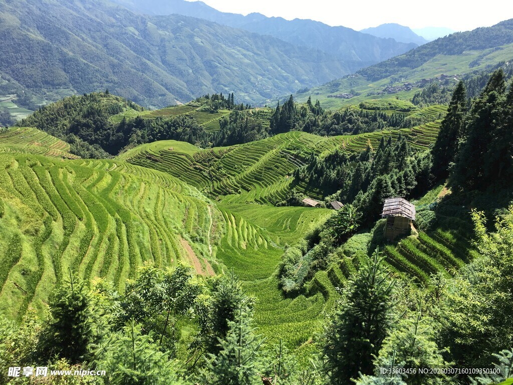 山间梯田美景