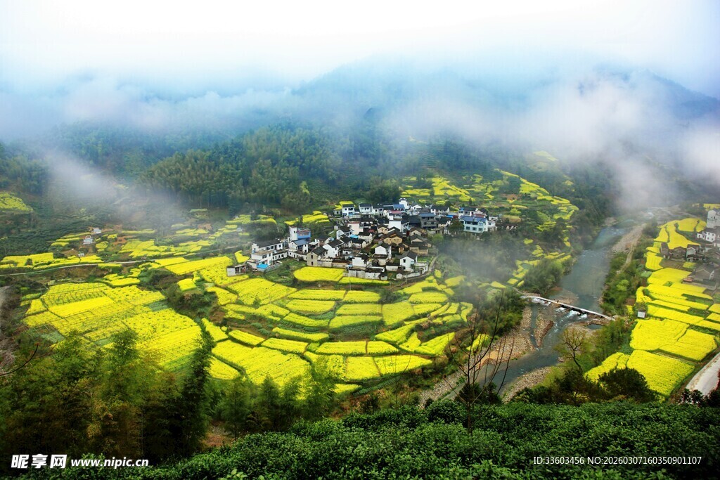 山间梯田油菜花村落美景