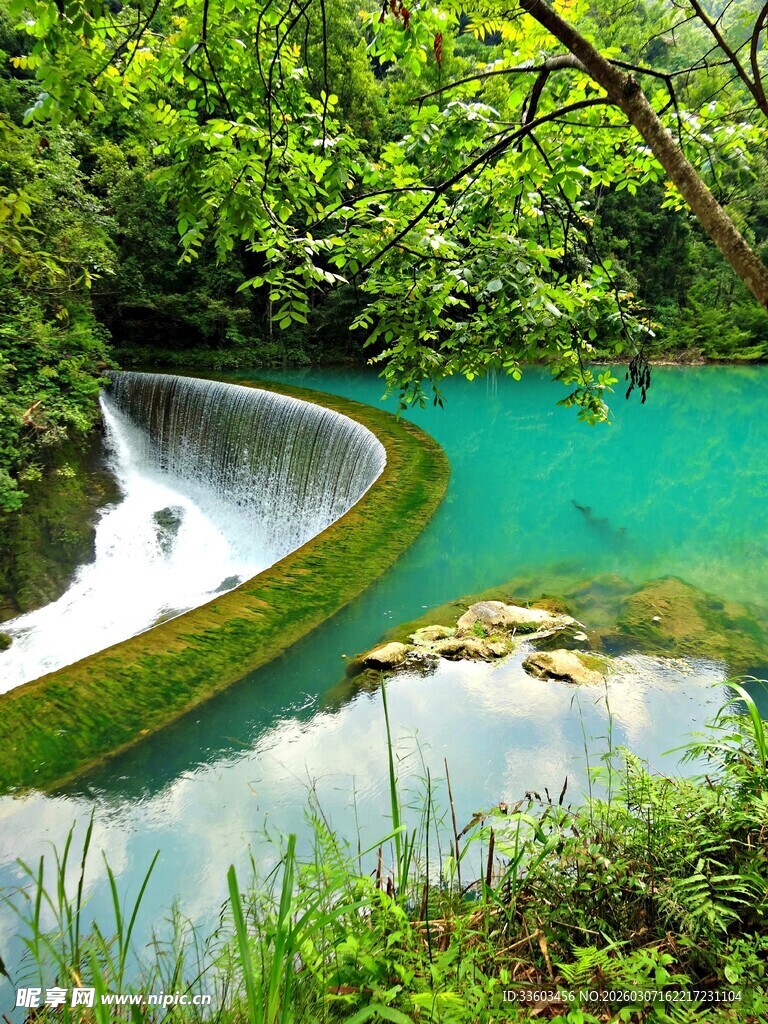 翠绿山林中的幽美蓝潭