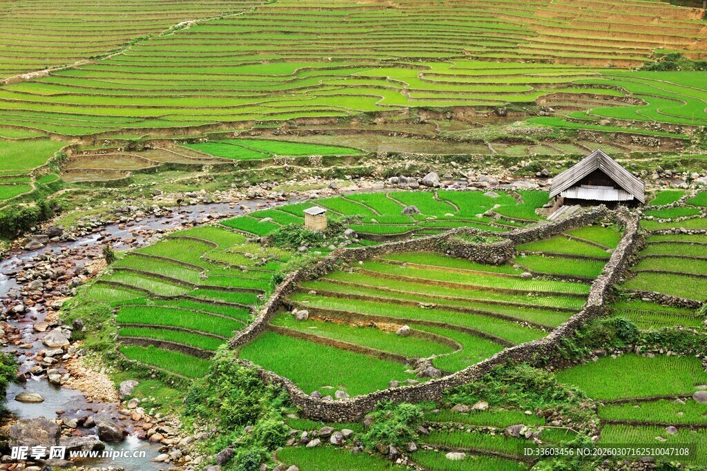 梯田美景