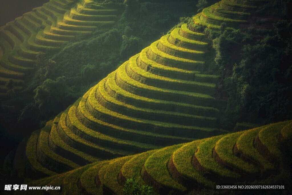梯田美景