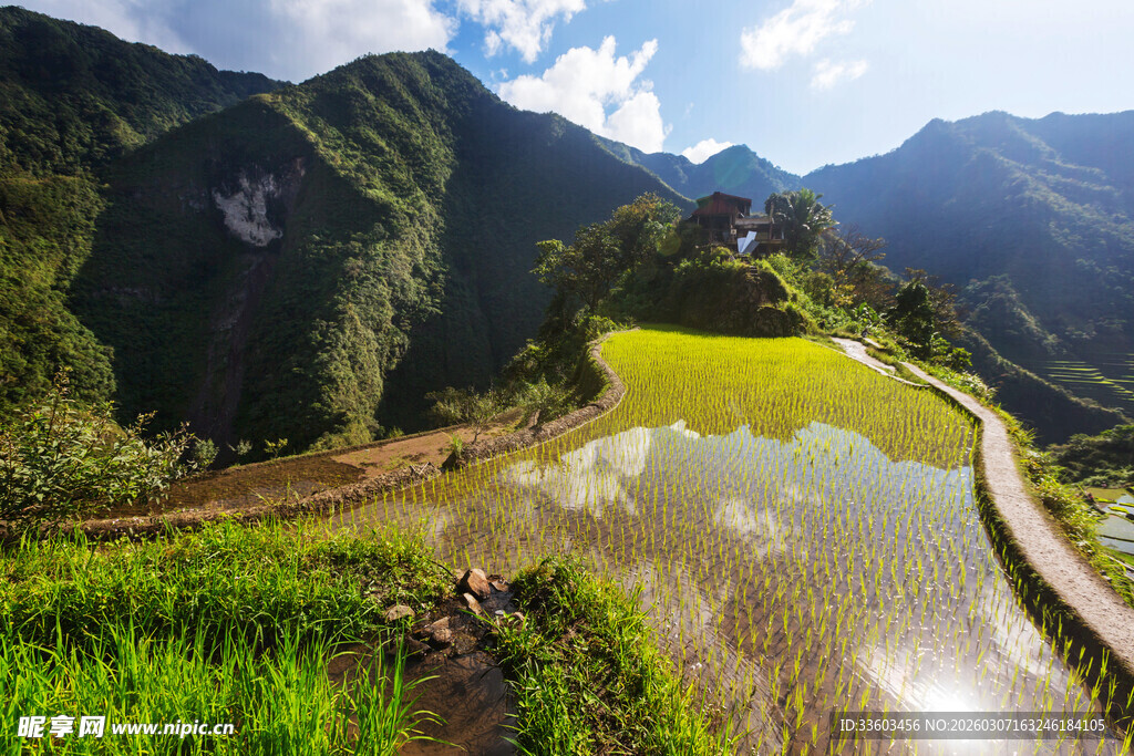 山间梯田美景
