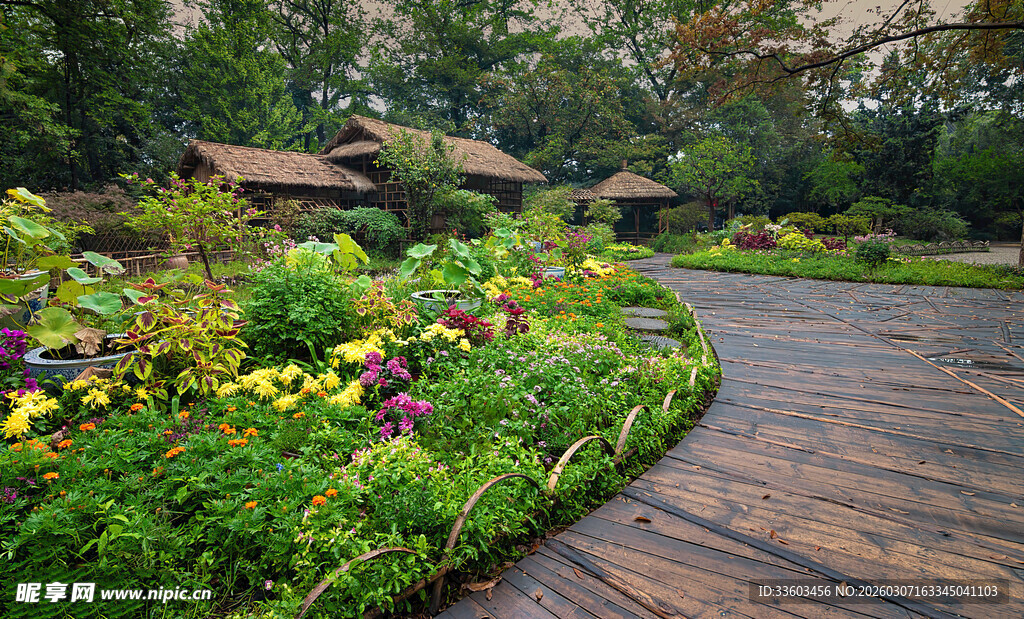 花园中的木质小径景观