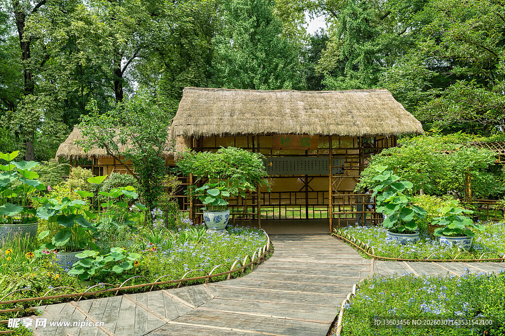 中式庭院茅草屋绿意环绕