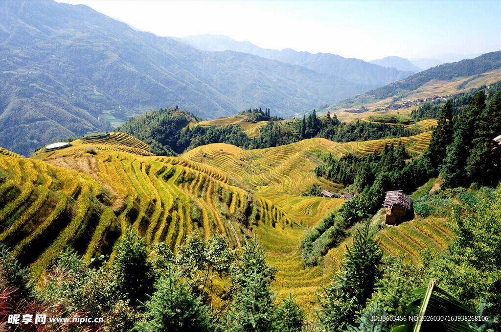 秋日壮美梯田景观