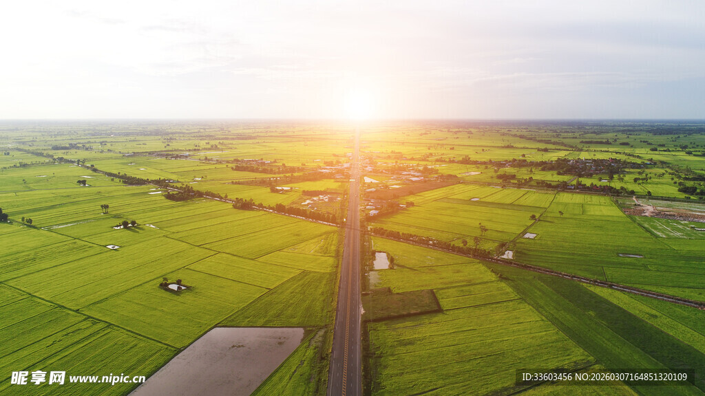 航拍绿野间的阳光之路