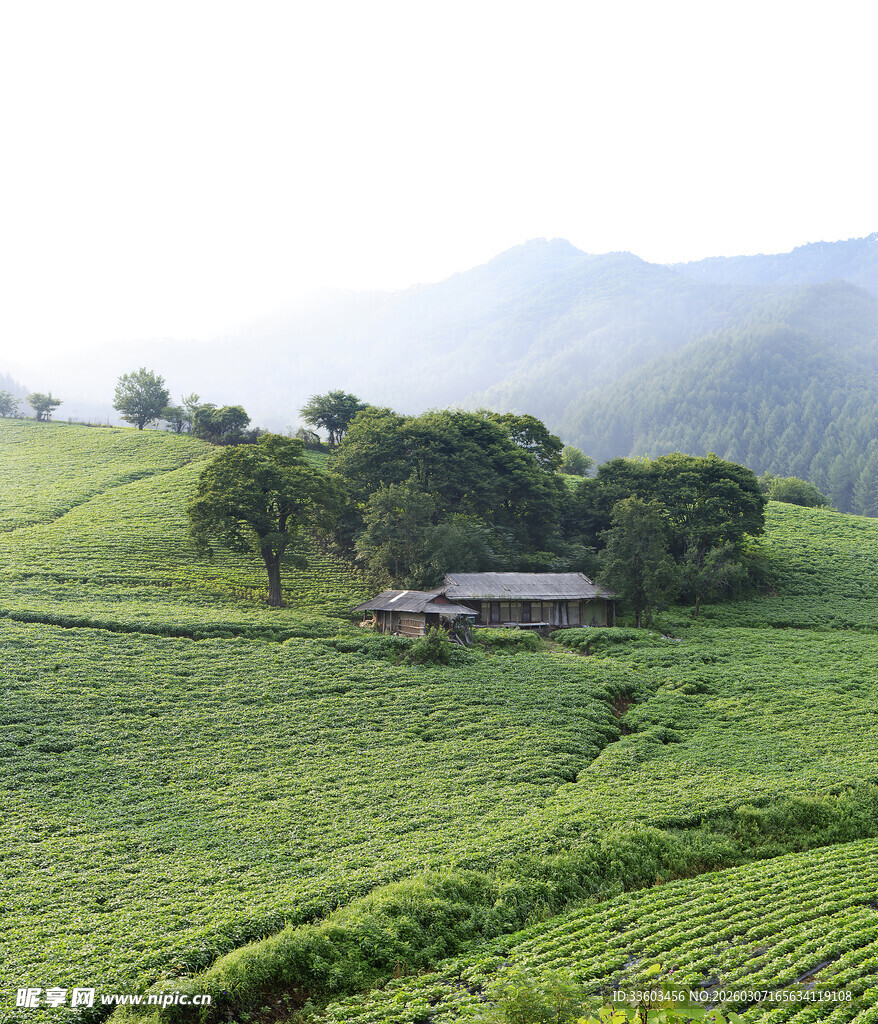 山间绿野中的宁静小屋