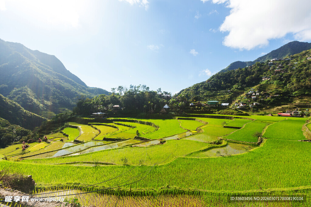 山间翠绿梯田美景