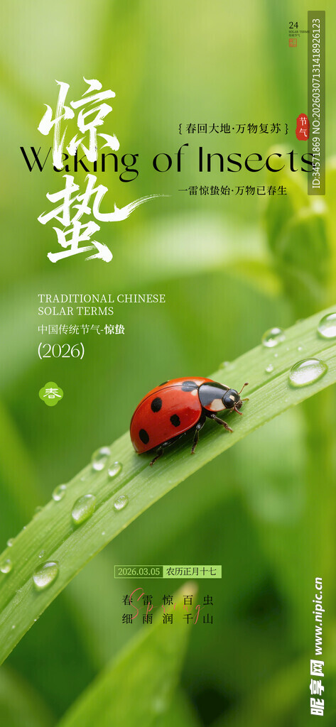 惊蛰海报 