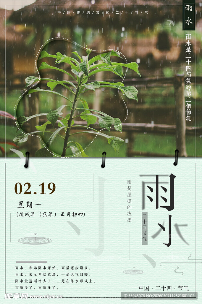 雨水节气植物景象图