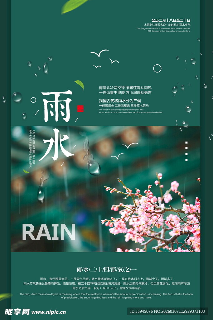 雨水节气海报