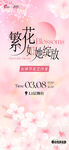 妇女节