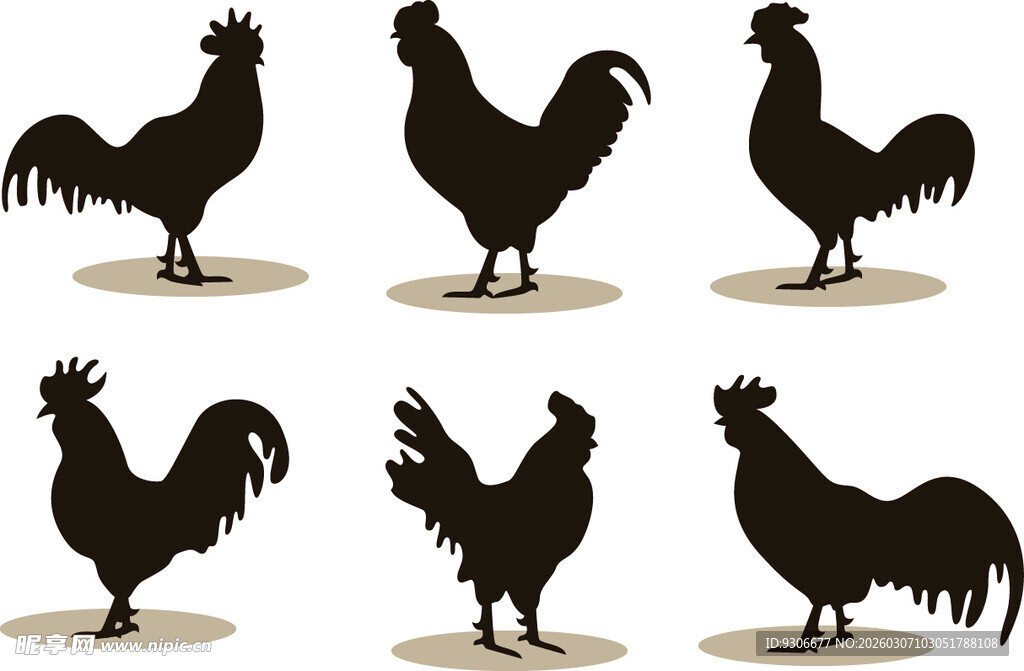 公鸡剪影