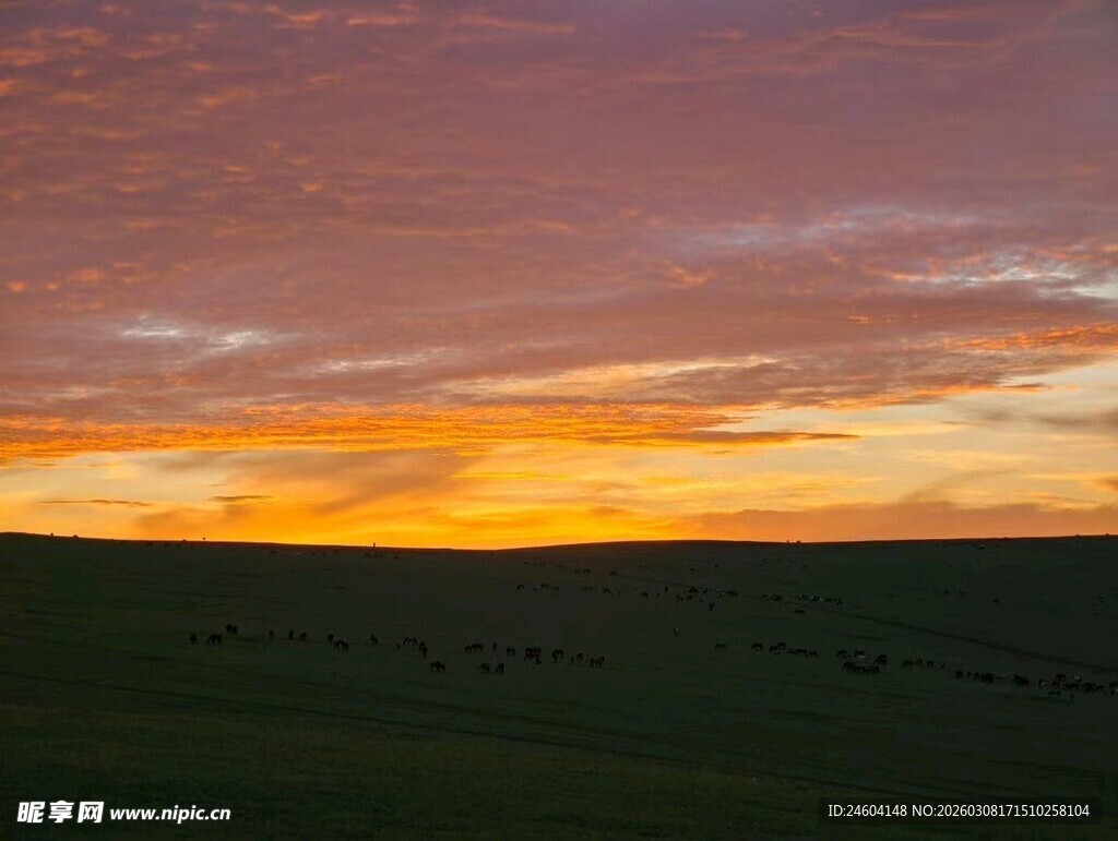 草原上的绚丽日落美景