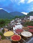 山村晾晒多彩食材景观