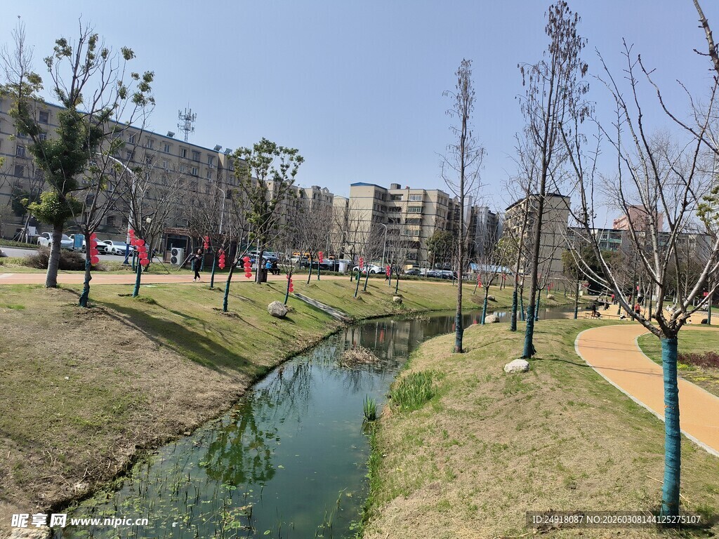 城市公园中的蜿蜒小河