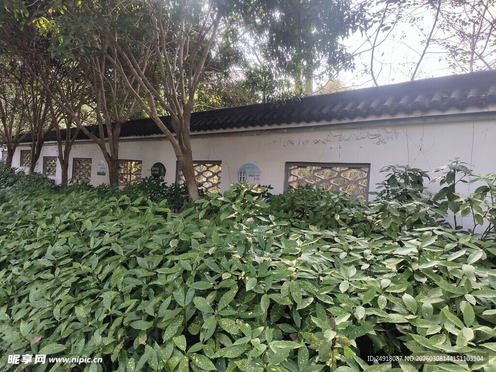 绿植环绕的古朴建筑