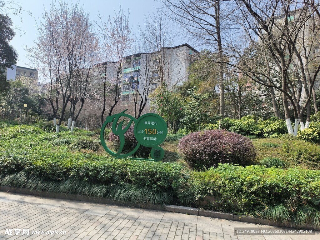 小区绿意盎然景观一角