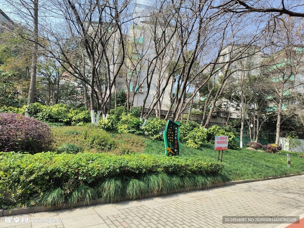 城市公园绿意盎然景致