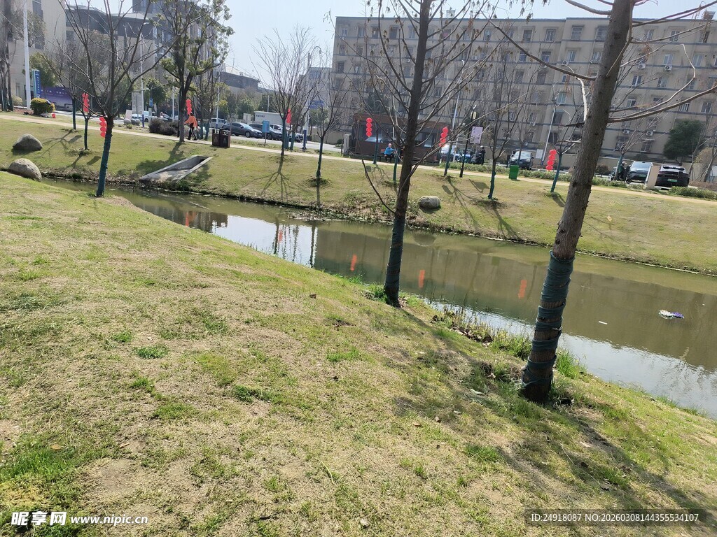 城市河畔草地景观