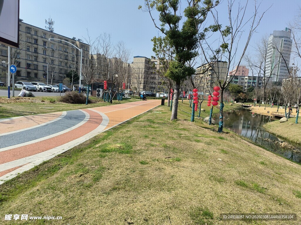 城市公园中的多彩步道景观