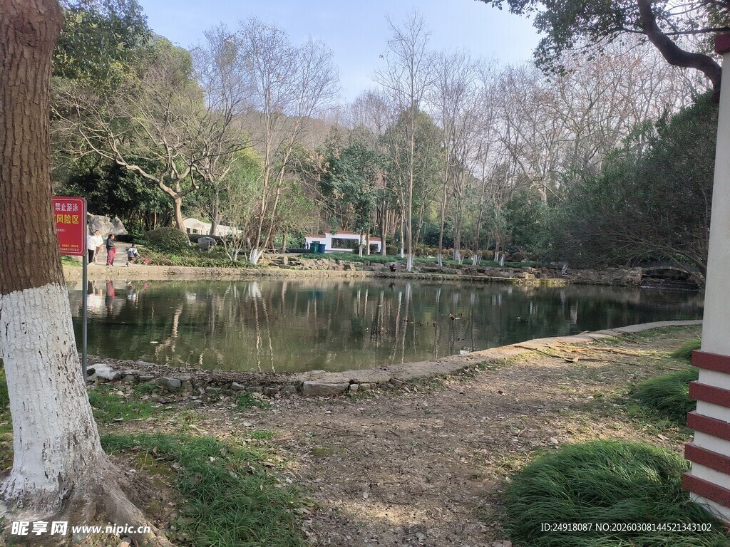 公园湖畔景致