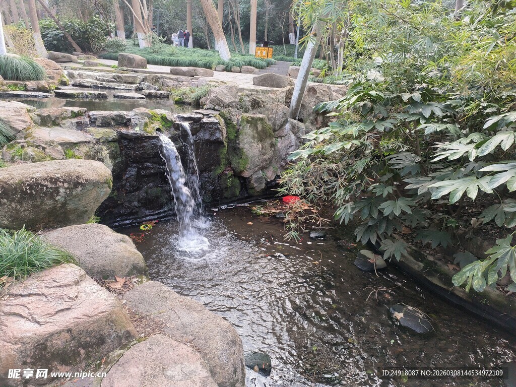 自然景观中的潺潺小瀑布