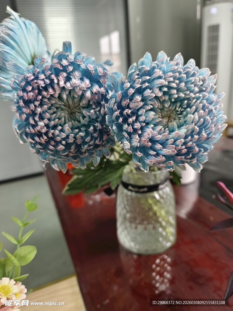 青花瓷杜丹菊花艺