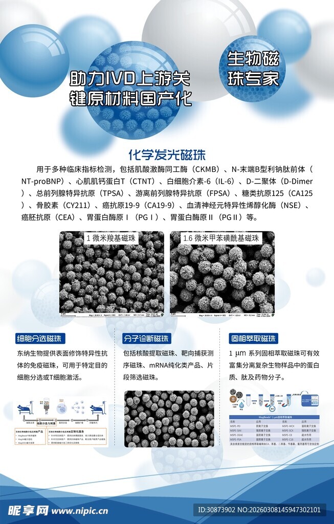 科技活动宣传海报