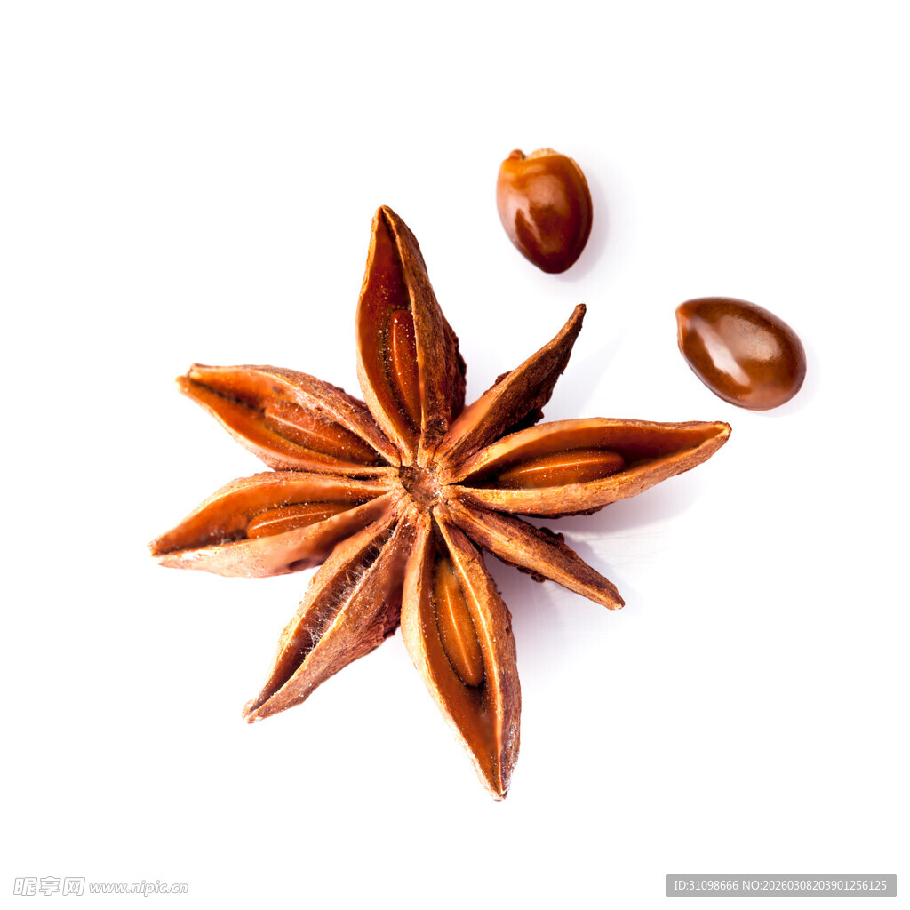 八角茴香特写