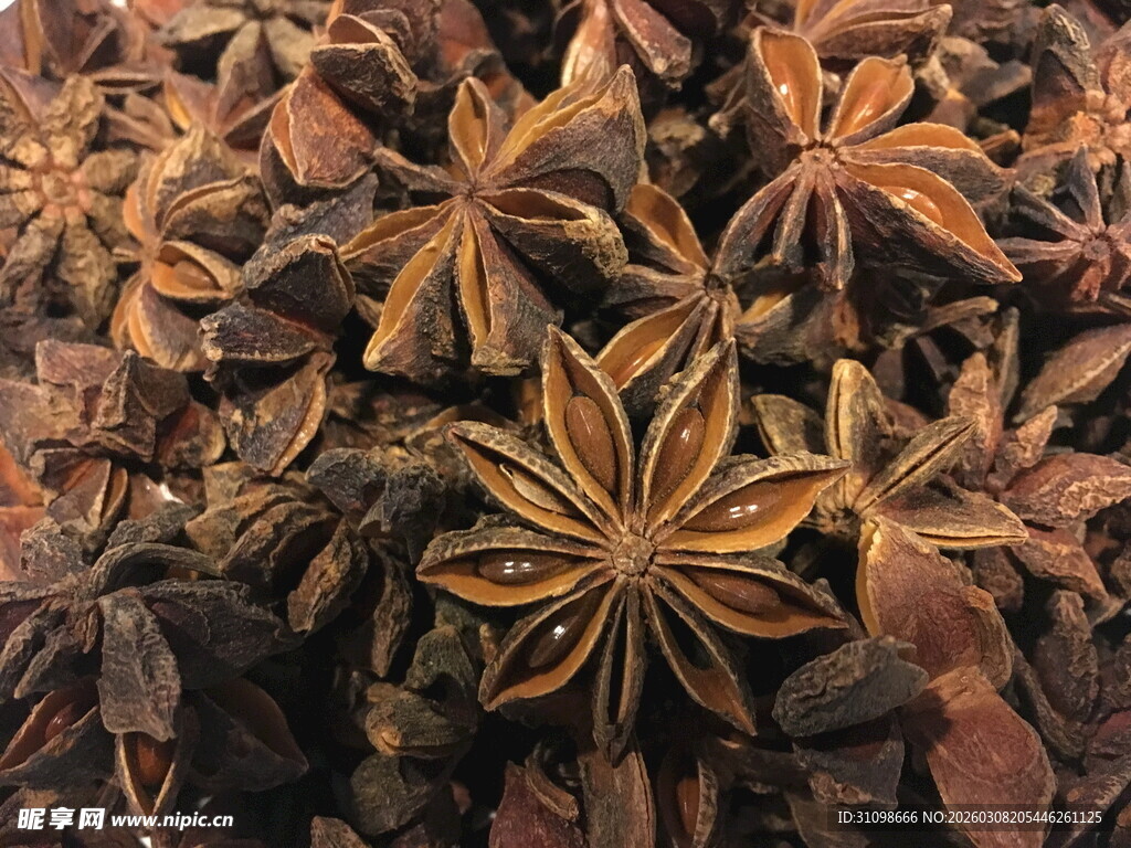 八角茴香特写